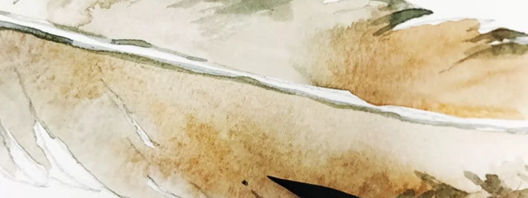 Basic Techniques for Watercolor